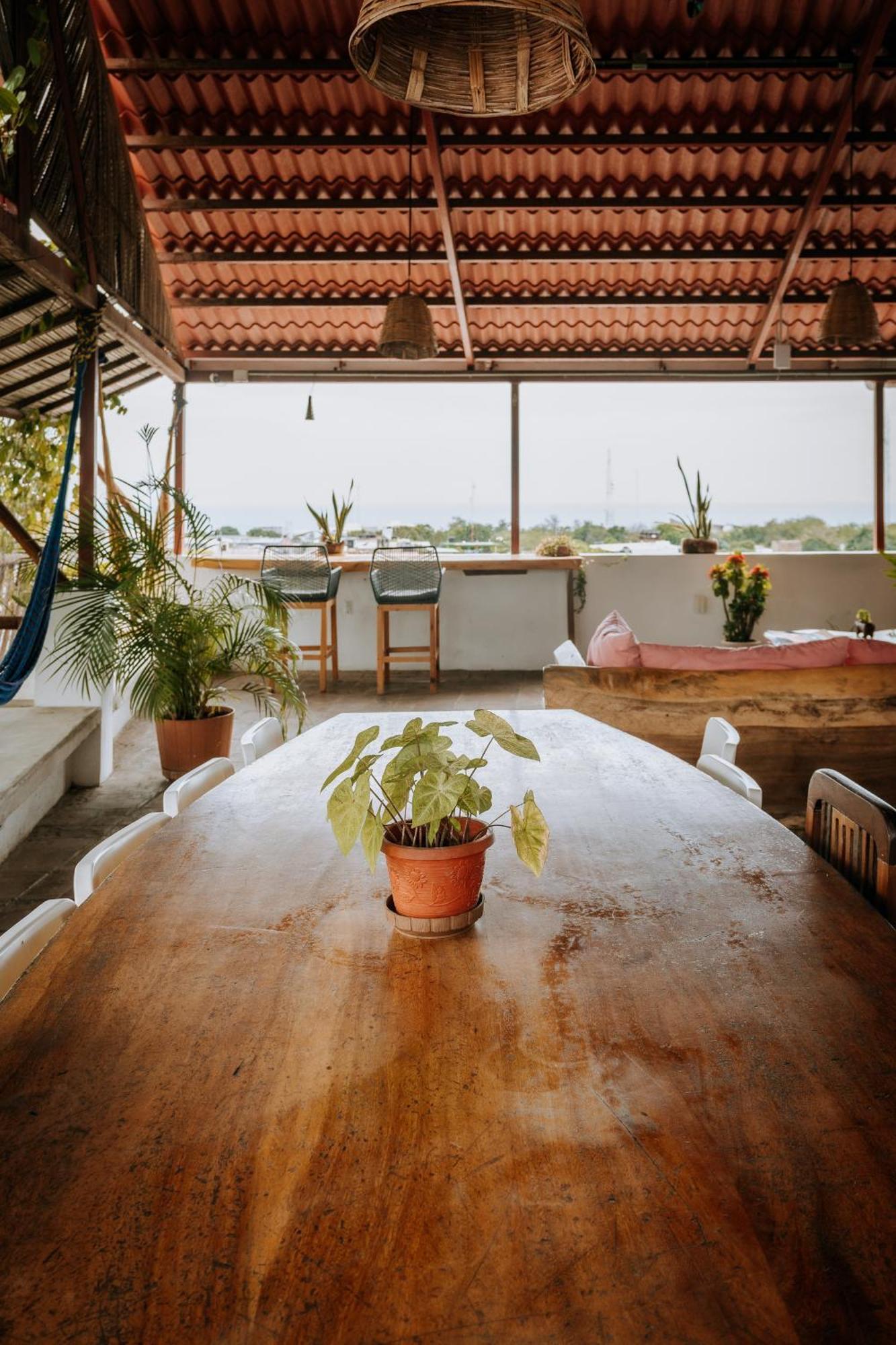 Terraza Puerto Hostel Puerto Escondido  Buitenkant foto